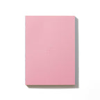 Labobratori pink green sprayed edge notebook flat lay